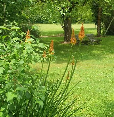 Lily - Au Clos De Guest house
